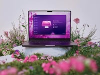 A Mac sitting on a rock in a field of flowers. The screen is showing the CleanMyMac software.