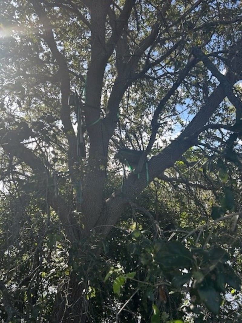 The item found by the FBI "During advance security preparations prior to the Palm Beach arrival, which included the use of technology and comprehensive physical sweeps, our teams identified items of interest near Palm Beach International Airport."