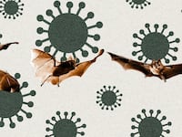 221001-axe-russian-bat-hero_ebv45c