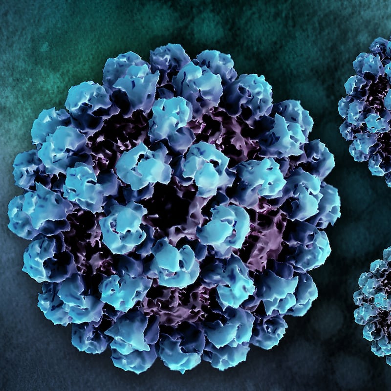 Creative layout featuring 3D renderings of norovirus virus-like particles (VLPs), generated from electron microscopy, and a transmission electron micrograph of norovirus particles in the background. (Photo by: NIH-NIAID/Image Point FR/BSIP/Universal Images Group via Getty Images)
