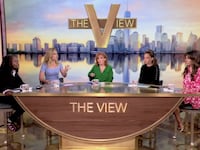 "The View" panel.