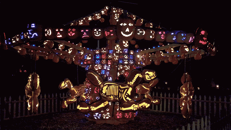 171025-Rogers-pumpkin-festival-01_2_nmhgo6