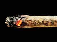221210-waters-germany-marijuana-hero-1_nhsh8i