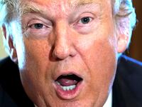 Donald Trump Feels Zero Remorse Over How The Week Went, Friends and Allies Say