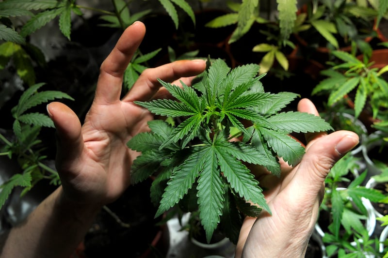 articles/2013/05/04/from-the-choom-gang-to-drug-warrior-barack-obama-keeps-bogarting-joints/130504-gillespie-obama-buzzkill-tease-embed_rb14wc