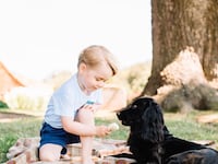 articles/2016/07/26/prince-george-3-accused-of-being-a-f-king-d-khead-with-white-privilege/160726-sykes-prince-george-tease_cmf1f3