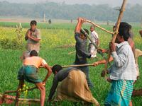 articles/2014/01/12/bangladesh-s-radical-islamists-get-u-s-backing/140110-kapil-bangladesh-tease_kap5hm