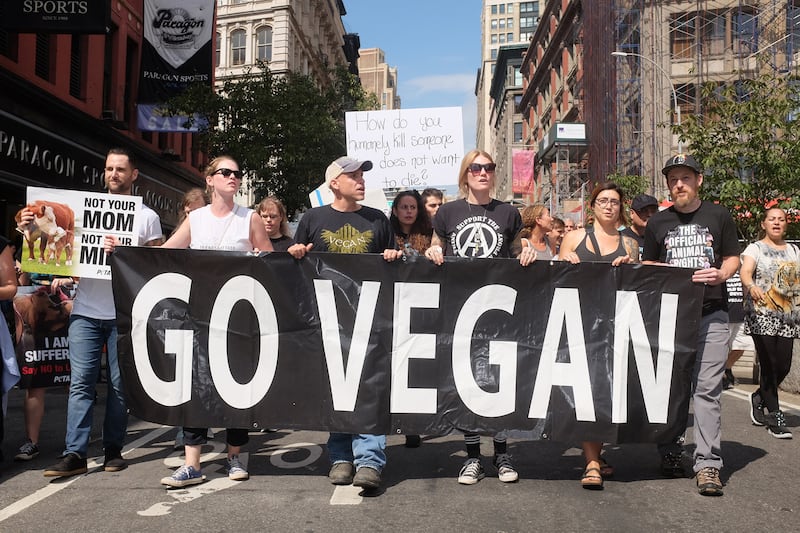 230115-kateman-vegan-embed-02_pygocm