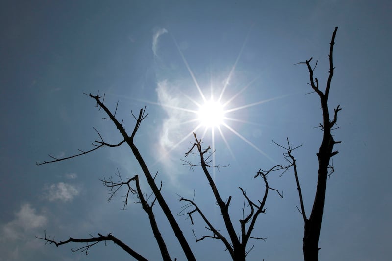 articles/2012/07/03/bill-mckibben-on-the-global-warming-hoax/global-warming-mckinnon_a0zwyt
