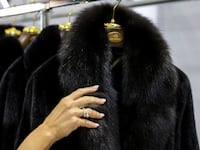A worker holds a fur coat in a showroom.