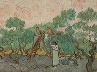 Women Picking Olives, 1889. Artist Vincent van Gogh.