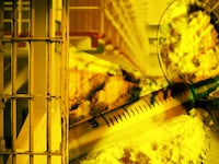 articles/2016/09/11/prisoners-on-the-eight-rules-of-dealing-drugs-behind-bars/160904-Ferranti-prison-drug-deal-tease_i6od7b