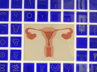 articles/2015/08/29/a-trip-to-vienna-s-abortion-museum/150828-kirkam-abortion-museum-tease_qmljog