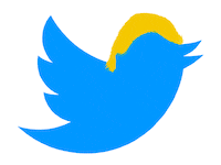 190729-Montgomery-Twitter-Trump-tease_stgwig