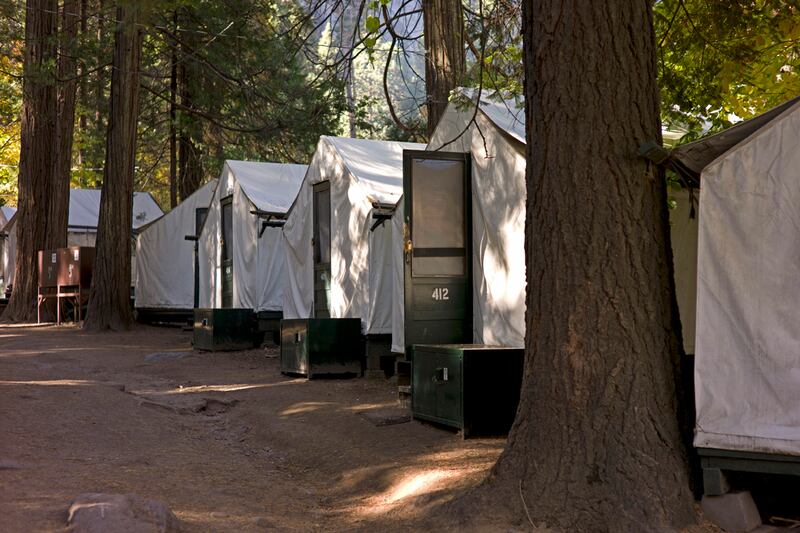 articles/2012/09/03/yosemite-hanta-virus-nature-strikes-back/yosemite-virus-sepkowitz_h0jnvy