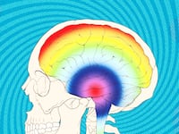 articles/2015/07/25/this-device-brings-brave-new-world-to-life/150725-siegel-brain-drugs-tease_y3wfgc