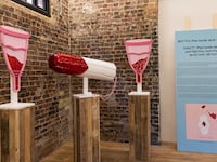 191118-silverman-vagina-museum-tease_g3wurj
