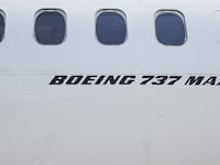 A Boeing 737 Max 8 plane.