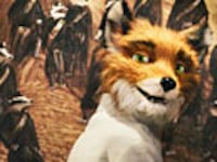articles/2009/11/12/the-yes-list-ndash-wes-andersons-fantastic-fox/mr-fox_cmaoml