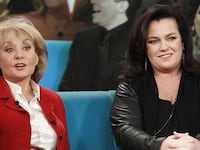 articles/2014/02/07/rosie-o-donnell-s-explosive-return-to-the-view-makes-us-miss-her-more/140207-fallon-rosie_uyilt4