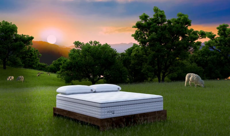 Evaya sleep sale