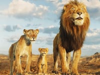 Scene from Disney Studio's 'Mufasa'