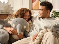 Bearaby Adult Weighted Blanket Collection | Scouted, The Daily Beast