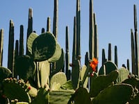 191020-theroux-mexico-hero_yuskef