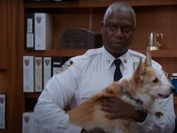 Andre Braugher as Captain Holt in Brooklyn Nine-Nine, holding Cheddar the dog.