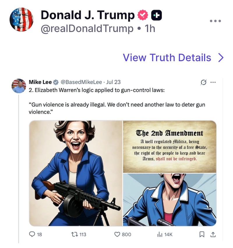Trump reposted multiple posts taking aim at Democrat Senator Elizabeth Warren.