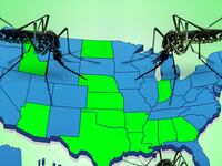 articles/2016/08/24/will-zika-stop-the-war-on-abortion/160822-allen-20-week-abortion-states-tease_b0atkw