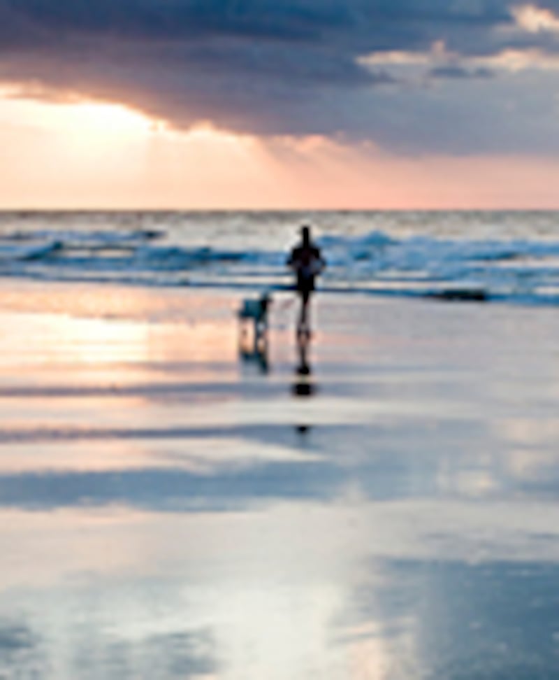 articles/2011/03/22/fresh-picks-by-sam-talbot/fresh-picks---talbot---destination_ci5sm2