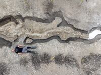 2022-01-10T115245Z_853218460_RC27DP9DHFFP_RTRMADP_3_BRITAIN-FOSSIL-SEA-DRAGON_bt3x1z