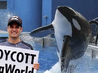 articles/2016/02/26/the-secret-spies-of-seaworld/160225-briquelet-seaworld-tease_pybiy9