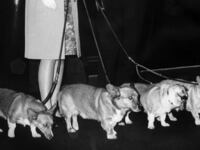 GettyImages-51952328_i5nskq