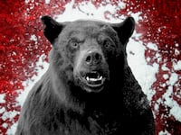 230225-cocaine-bear-tease_gncd64