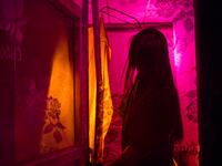 articles/2014/12/19/to-catch-a-sex-worker-a-e-s-awful-exploitative-ambush-show/141218-allen-ae-sex-worker-show-tease_fqzl2h