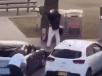 Hero tackles terrorist