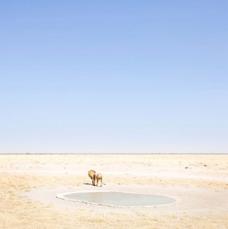 galleries/2015/08/09/instagrammer-of-the-week-forest-woodward/150807-instagrammer-07_fmmzel