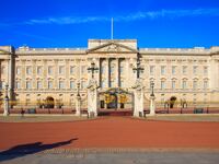 A man was arrested after handcuffing himself to the gates of Buckingham Palace.