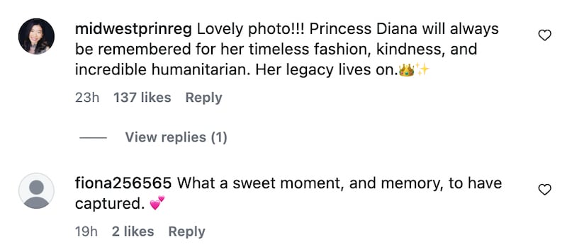 Commenters share their fond memories and condolences for the late Princess Diana in response to her brother’s 2026 throwback post.