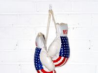 articles/2014/03/26/the-republican-street-fight-over-transparency-in-government/140325-lessig-tease_pzgr5c