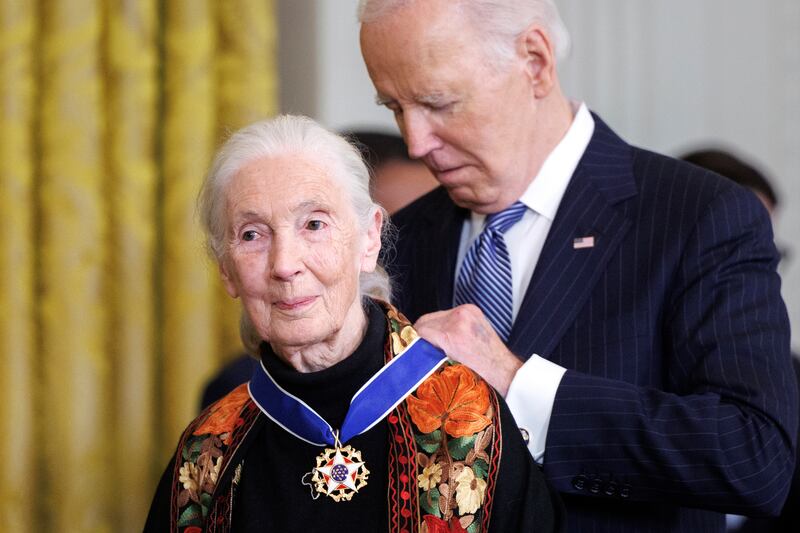 Jane Goodall