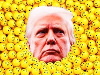 Donald Trump photo illustration