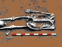 190113-moss-beheaded-skeleton-england-hero_a2cexa