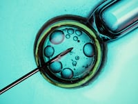 230216-Shugerman-IVF-tease_qi4cyn