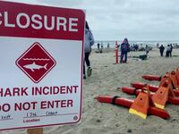 The city of Del Mar announced Sunday that it was closing all its beaches for swimming and surfing after a shark bit a swimmer near shore.