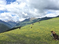 190303-kemper-caucus-mountains-hero_dffupf