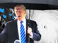 Trump tweets about Hurricanes Harvey and Irma like we're in a TV show.