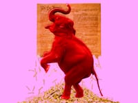A photo illustration of a red elephant and torn US Constitution.